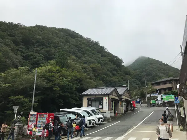 やはりねw