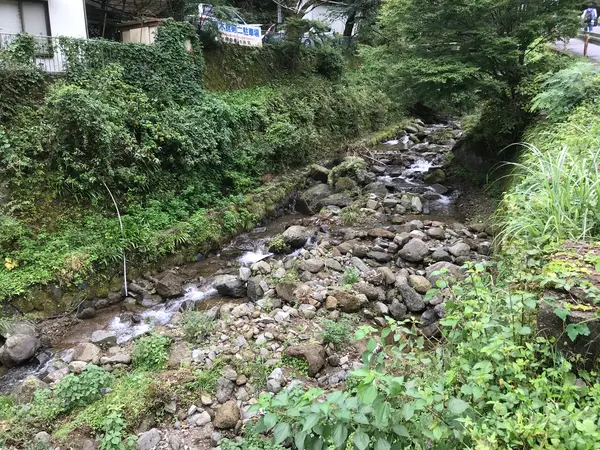 水が澄んでます。