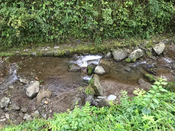 ひんやりして気持ち良い