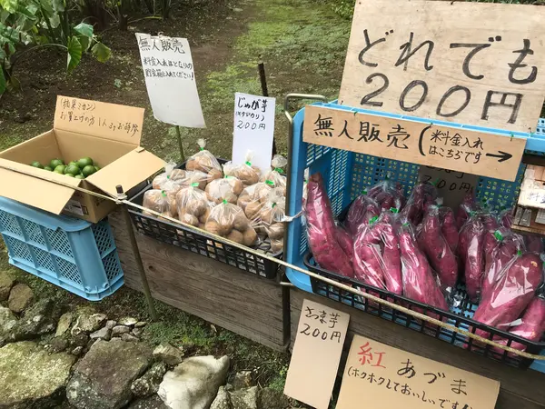 秋の実りですね(^○^)