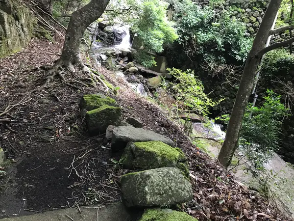 海も好きだけど山も好き