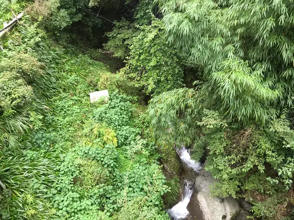 ここらは渓谷ですね。