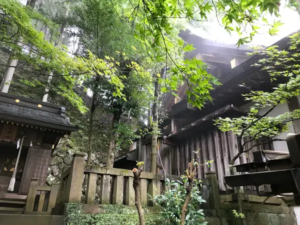 モミジです。