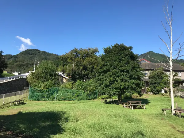 こうやって見ると普通の庭w
