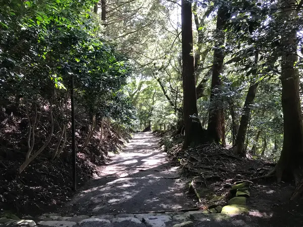 参道とは言え山道w