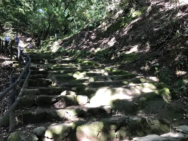 神奈川県は多いです。