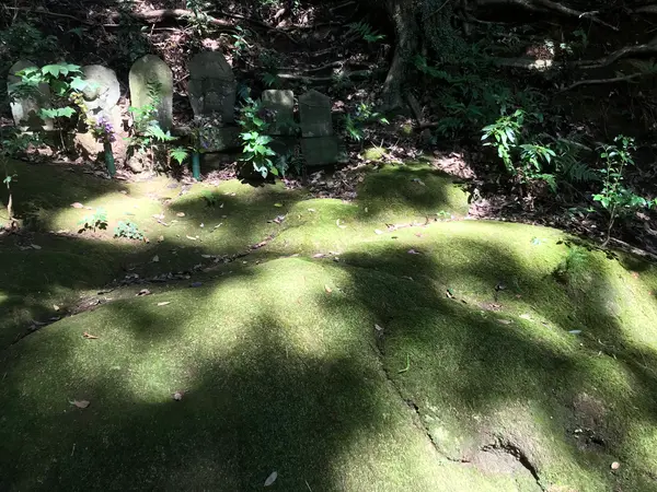 美しいです。