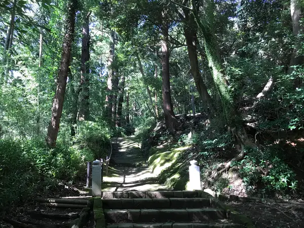 神秘的です。