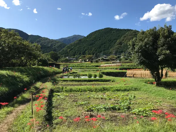 ノスタルレーダーも一気に