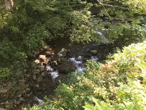 かなり高い場所です。