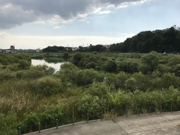 おぅ、良い眺め