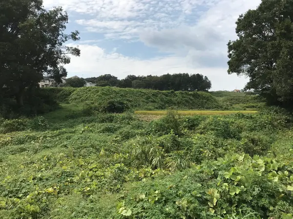 サイクリングロードからの景色
