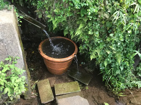 境川遊水池公園を離れて