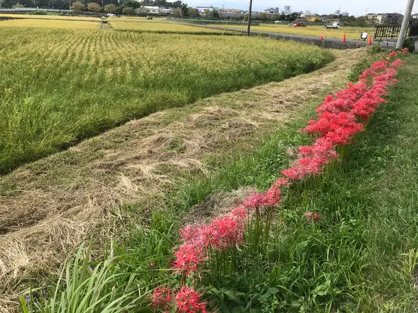 鉄板の景色
