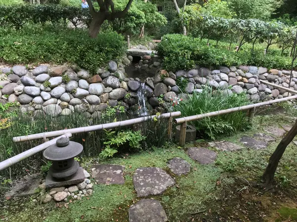 まぁ、折角なので