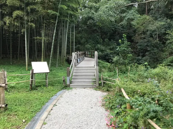 そそる木道が