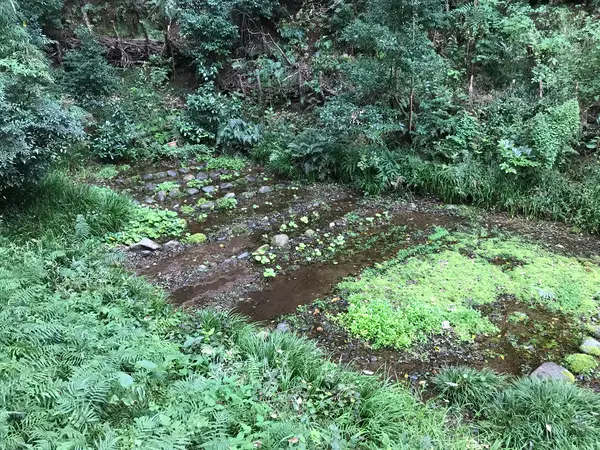 何と山葵田とな。