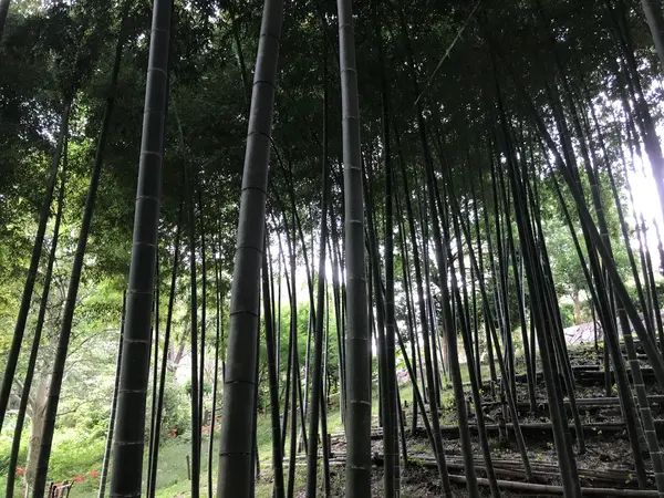 うおぅゴイスー♪
