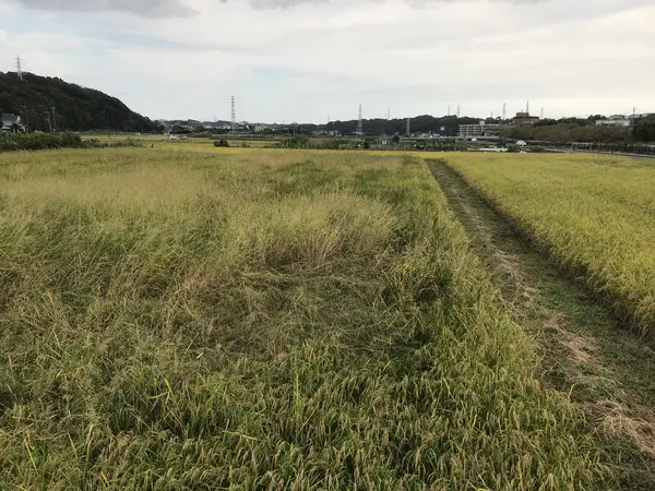 天王森泉公園を出て
