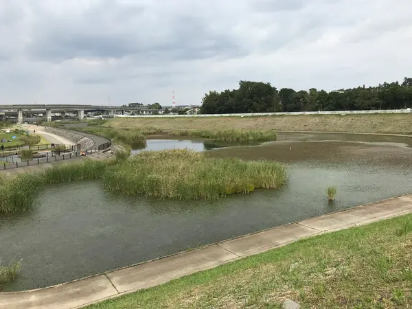 境川遊水池公園