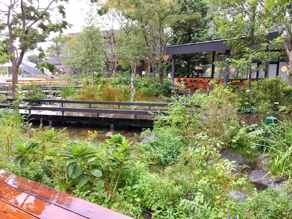 広場には池も
