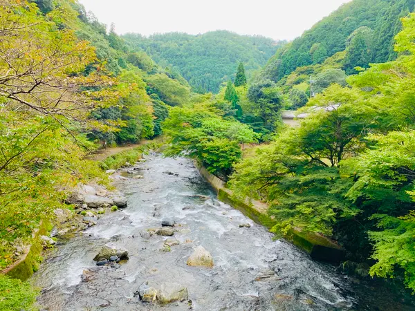 愛宕山 麓  清滝