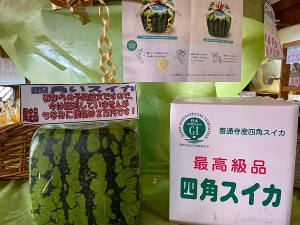四角いスィカ