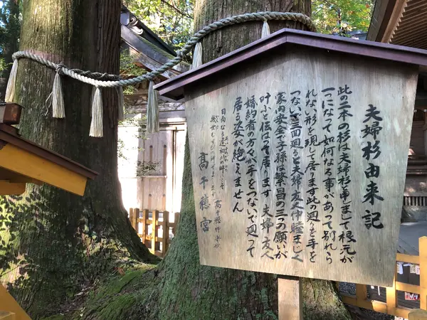 夫婦仲良く