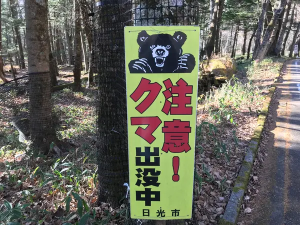 だよね〜w