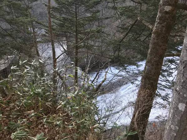 求心くれ〜w