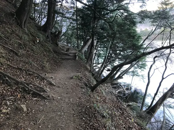コケたら水浸し。