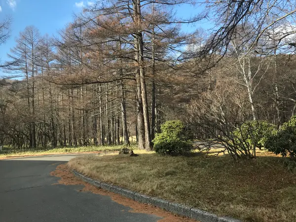 高徳沼も過ぎました。