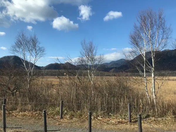 戦場ヶ原です。