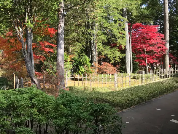 紅葉が良いです。