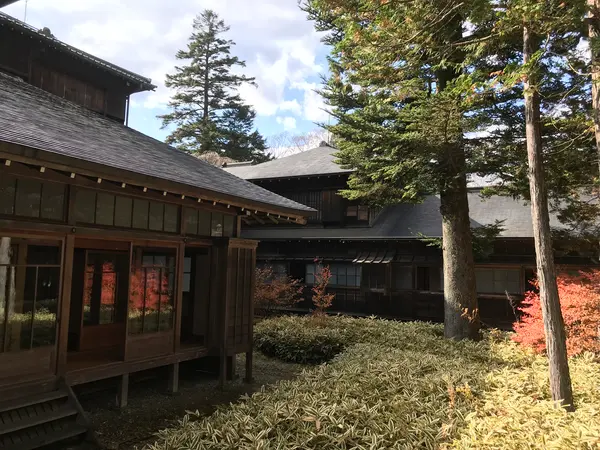 取り敢えず、撮っとけ的なw