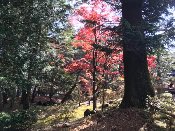 霧降高原も今回はスルー