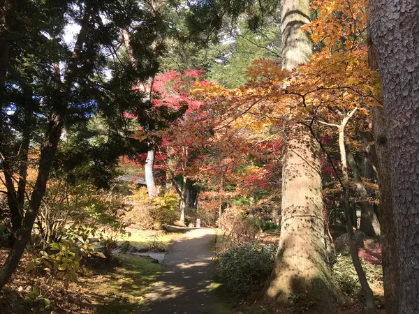 出口に向かいます。