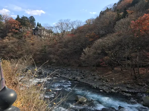森の上の建物は？