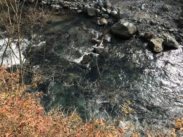 透明度高し^ ^