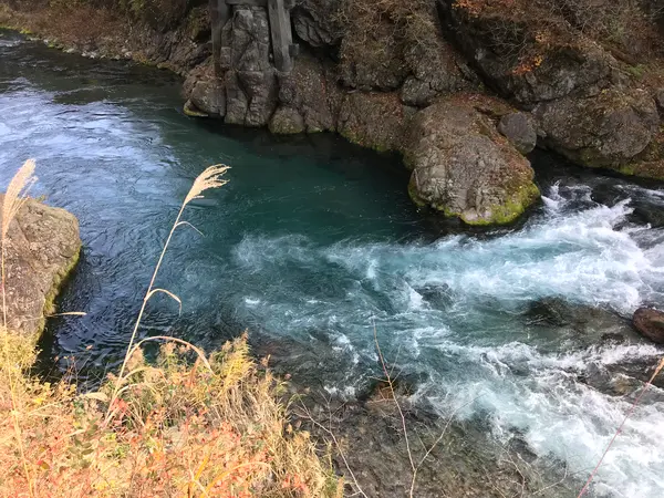 清らかな流れです。