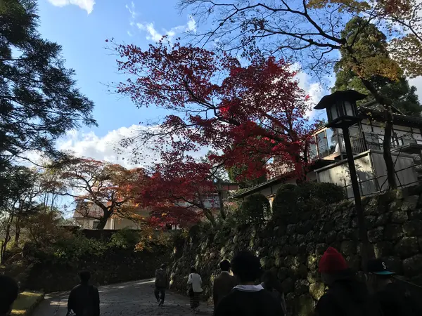紅葉が美しいですね。