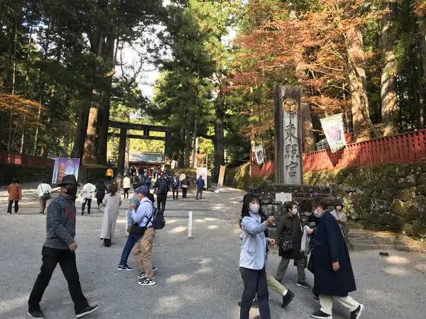 鎌倉なみの料金で良いのでは？