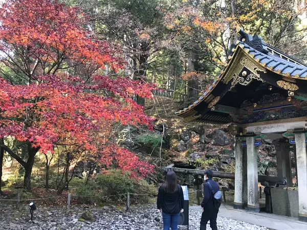 規模は小さいです。