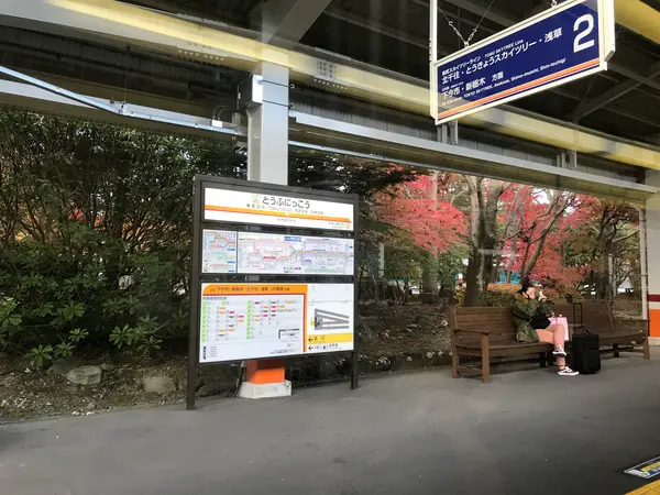 セーフ