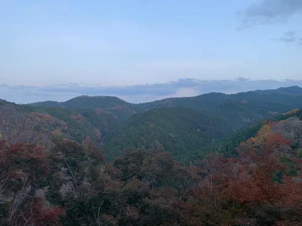 カウンター席からの風景