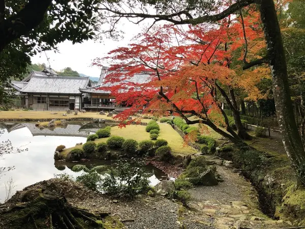庭園