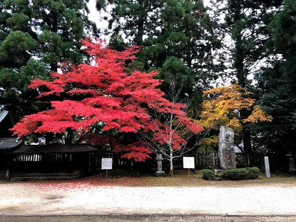 紅葉