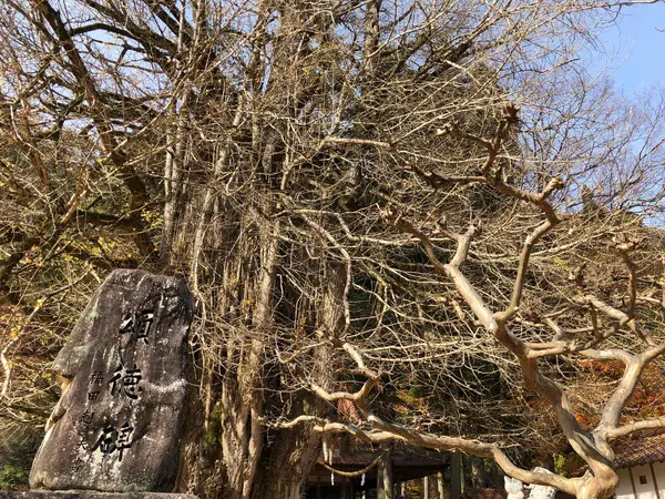 全部落ちてた。。