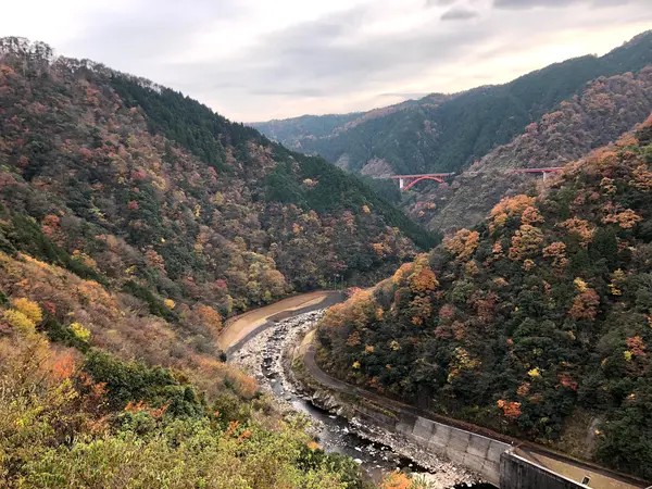 紅葉まだ残ってた！