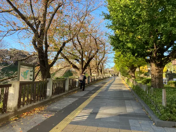 大きな玉ねぎの下で